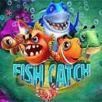 Fish Catch